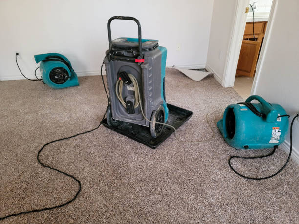 24/7 water damage repair in MA