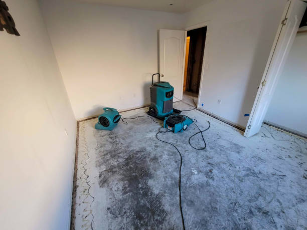 Best Fire Damage Restoration  in Newton, MA