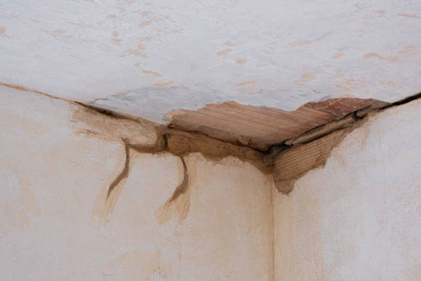 Best Ceiling water damage repair  in Newton, MA