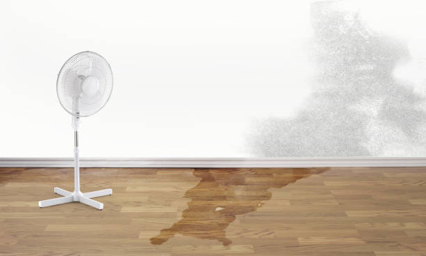 Best 24-hour water damage restoration  in Newton, MA