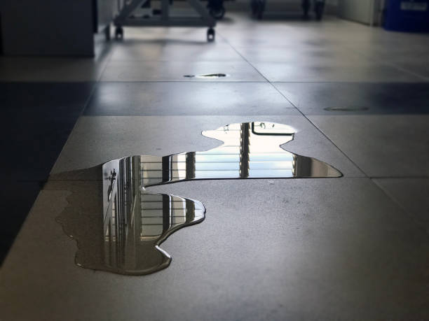 Best Emergency water damage restoration  in Newton, MA