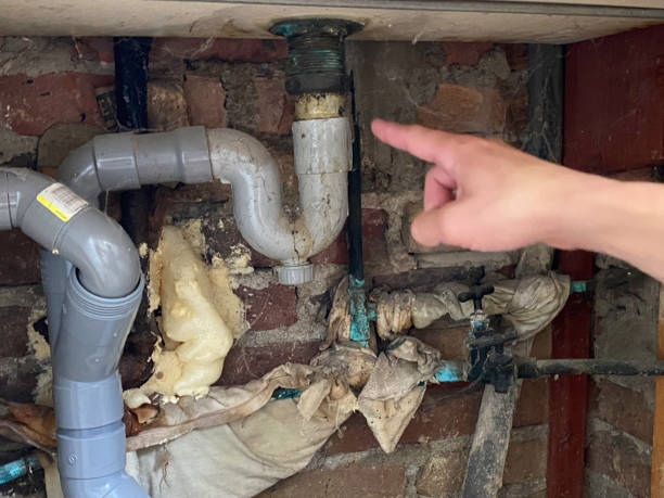 Best Water damage cleanup near me  in Newton, MA