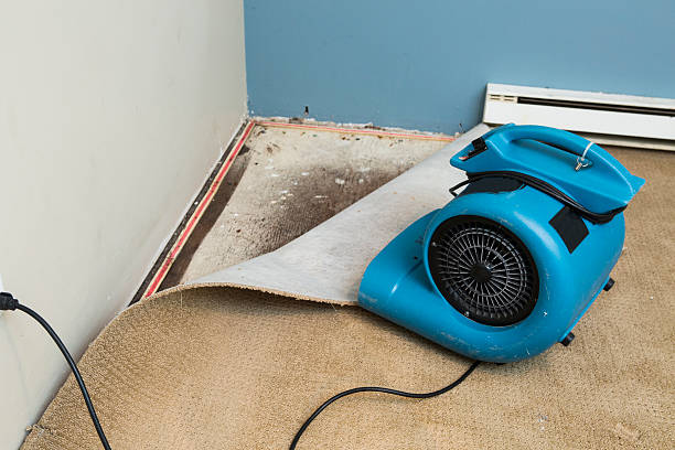 Best Water damage restoration cost  in Newton, MA